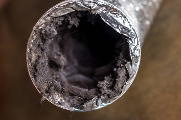 Best Affordable Duct Cleaning Services  in Atwood, IL