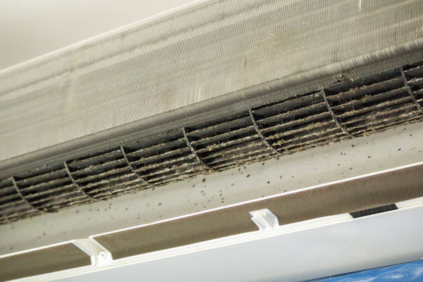 Best HVAC System Cleaning  in Atwood, IL